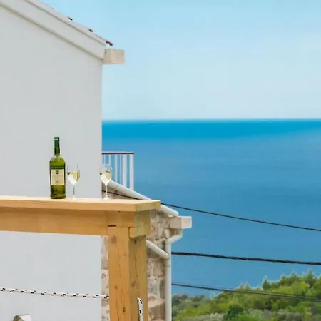 Vila Calming Area With Infinity Pool Babino Polje