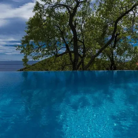 Calming Area With Infinity Pool Babino Polje